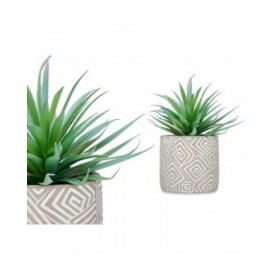 Pianta Decorativa Ibergarden QY-H012 Legno Plastica Cemento Succulenta 17 x 21 x 17 cm (8 Unità)