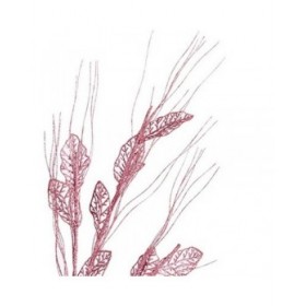 Ramo Rosa 46 x 80 x 5 cm (12 Unità)