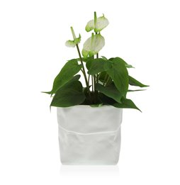 Quadro DKD Home Decor 104 x 4,5 x 143,5 cm Vaso Scandinavo (2 Unità)