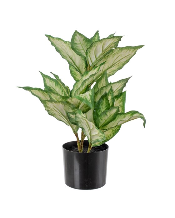 Sedia DKD Home Decor Nero Verde 55 x 58 x 83 cm