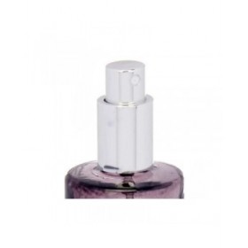 Diffusore Spray Per Ambienti Acorde G-519 Lavanda 70 ml (12 Unità)