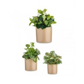 Set di Vasi Ibergarden CILINDRO-1019 Beige Argilla Cilindro Ø 14 cm Ø 22 cm Ø 17 cm 3 Pezzi