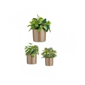 Set di Vasi Ibergarden CILINDRO-7006 Taupé Argilla Cilindro Ø 14 cm Ø 22 cm Ø 17 cm 3 Pezzi