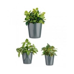 Set di Vasi Ibergarden CONICO-7011 Antracite Argilla Cónica Ø 14 cm Ø 22 cm Ø 17 cm 3 Pezzi