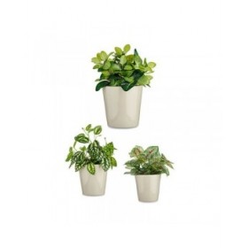 Set di Vasi Ibergarden CONICO-7044 Grigio Argilla Cónica Ø 14 cm Ø 22 cm Ø 17 cm 3 Pezzi