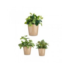 Set di Vasi Ibergarden CONICO-1019 Beige Argilla Cónica Ø 14 cm Ø 22 cm Ø 17 cm 3 Pezzi