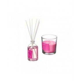 Set Deodorante per Ambienti Acorde B-924A Orchidea 100 ml (6 Unità)