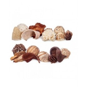 Potpourri decorativo Bianco Marrone 19 x 40 x 14 cm (8 Unità)