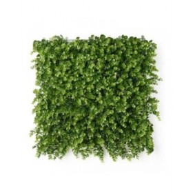 Giardino Verticale Ibergarden Verde Plastica Fogli 50 x 50 cm