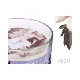 Candela Profumata Noalla 400 g (6 Unità)