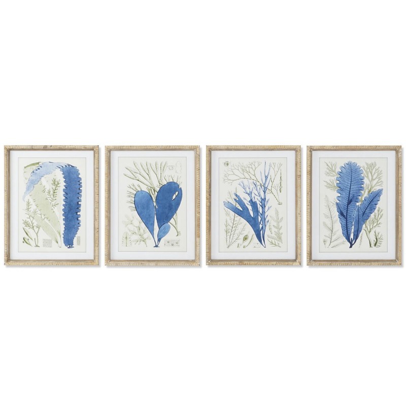 Quadro Home ESPRIT Mediterraneo 35 x 2,5 x 45 cm (4 Unità)