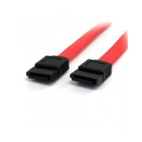 Cavo SATA Startech SATA24