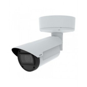 Videocamera di Sorveglianza Axis 02508-001