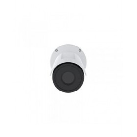 Videocamera di Sorveglianza Axis 02945-001