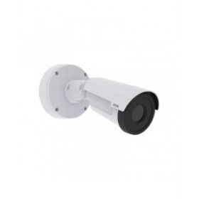 Videocamera di Sorveglianza Axis 02945-001