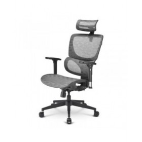 Sedia da Ufficio Sharkoon Officepal C30M Nero Grigio
