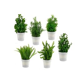 Decorazione da Parete Home ESPRIT Bianco Albero Cottage 99 x 2 x 99 cm