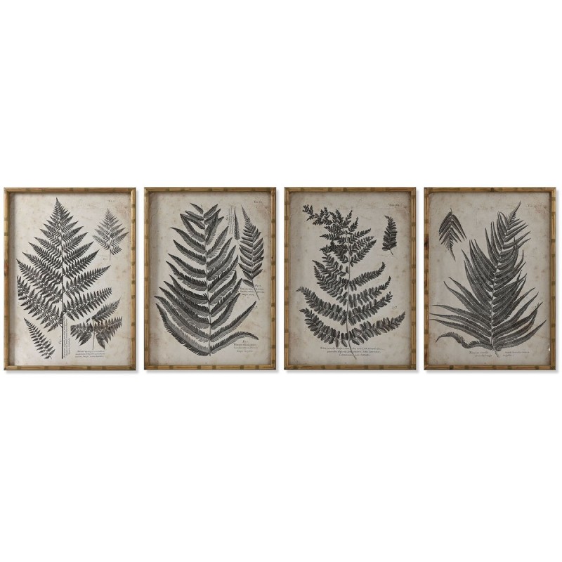 Quadro Home ESPRIT Felce Cottage 50 x 2,5 x 70 cm (4 Unità)