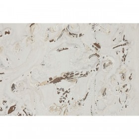 Decorazione da Parete Home ESPRIT Bianco Neoclassico Decapaggio 58 x 4,5 x 78 cm (2 Unità)