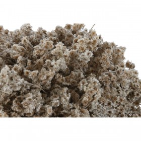 Pianta Decorativa Home ESPRIT Fiore 22 x 22 x 14 cm (2 Unità)