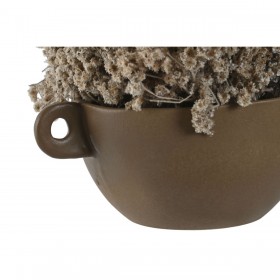 Pianta Decorativa Home ESPRIT Fiore 22 x 22 x 14 cm (2 Unità)