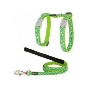 Pettorina per gatti Red Dingo Style Turchese Stella Cinghia