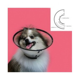 Collare elisabettiano per cani KVP Saf-T-Clear Trasparente (15-23 cm)