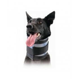 Collare Cervicale per Cani KVP Nero (18-53 cm)