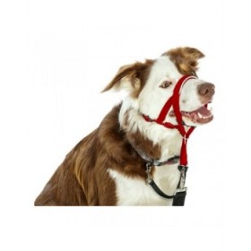 Collari da addestramento per cani Company of Animals Halti Museruola (46-62 cm)