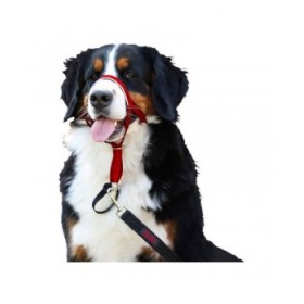 Collari da addestramento per cani Company of Animals Halti Museruola (46-62 cm)