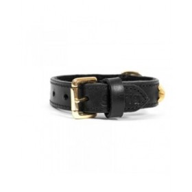 Collare per Cani Gloria Duna Nero Dorato (60 x 2.5 cm)
