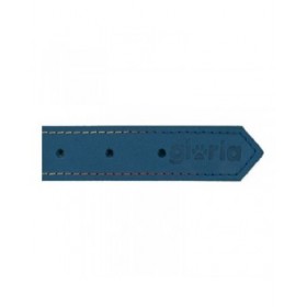 Collare per Cani Gloria Oasis Azzurro (1,2 x 35 cm)
