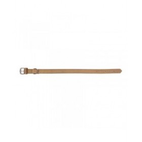 Collare per Cani Gloria Oasis Beige (1,2 x 35 cm)
