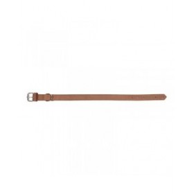 Collare per Cani Gloria Oasis Marrone (1,2 x 35 cm)