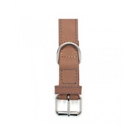 Collare per Cani Gloria Oasis Marrone (1,2 x 35 cm)