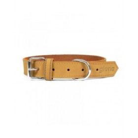 Collare per Cani Gloria Oasis Giallo (1,5 x 40 cm)