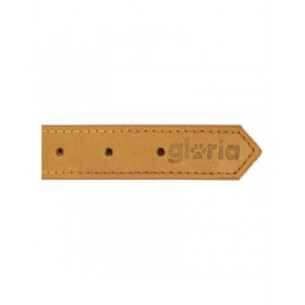 Collare per Cani Gloria Oasis Giallo (1,5 x 40 cm)