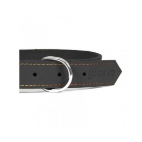 Collare per Cani Gloria Oasis Nero (1,5 x 40 cm)