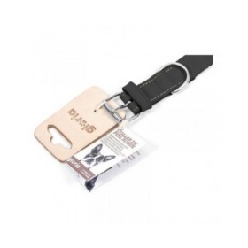 Collare per Cani Gloria Oasis Nero (45 x 1,8 cm)