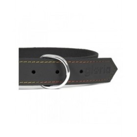 Collare per Cani Gloria Oasis Nero (45 x 1,8 cm)