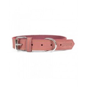 Collare per Cani Gloria Oasis Rosa (50 x 2,1 cm)