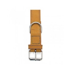 Collare per Cani Gloria Oasis Giallo (55 x 2,5 cm)