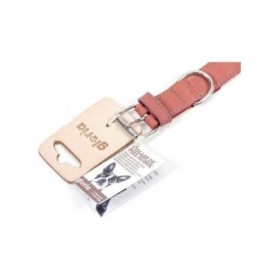 Collare per Cani Gloria Oasis Rosa (55 x 2,5 cm)