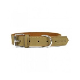 Collare per Cani Gloria Oasis Verde (55 x 2,5 cm)