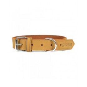 Collare per Cani Gloria Oasis Giallo (60 x 3 cm)