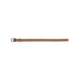 Collare per Cani Gloria Oasis Marrone (65 x 3 cm)