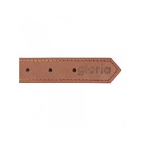 Collare per Cani Gloria Oasis Marrone (65 x 3 cm)