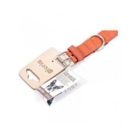Collare per Cani Gloria Oasis Rosso (65 x 3 cm)
