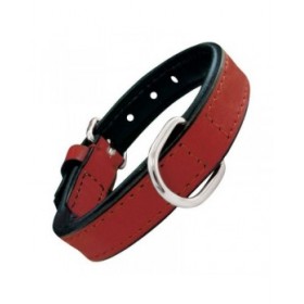 Collare per Cani Gloria Trapunta Rosso (30 x 1,5 cm)