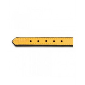 Collare per Cani Gloria Trapunta Giallo (40 x 2 cm)